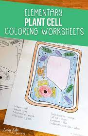 Animal and plant cells worksheet answers elegant the human cheek. Plant Cell Coloring Worksheet