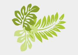 Download transparent leaf png for free on pngkey.com. Tropical Leaves Clipart Clipart Kid Tropical Leaf Clip Art Cliparts Cartoons Jing Fm