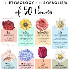 Check spelling or type a new query. The Etymology And Symbolism Of 50 Flowers In One Poster Gardening Garden Diy Home Flowers Roses Na Flower Meanings Order Flowers Online Types Of Flowers