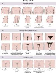 Girl Puberty Stages Chart Puberty Chart For Boys And Girls