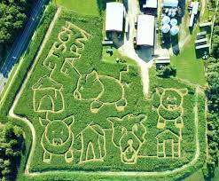 get lost in these 7 crazy corn mazes