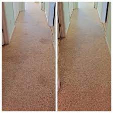 citrus carpet upholstery cleaning