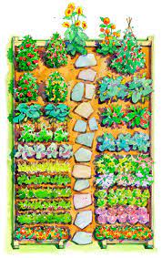 8 free vegetable garden plans to bring