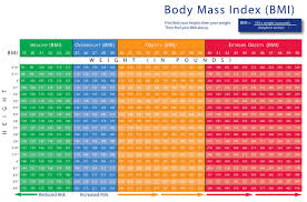 Free Body Mass Index Bmi Calculator Test