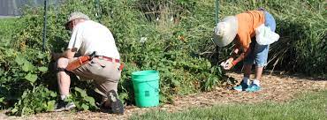 nebraska master gardener program