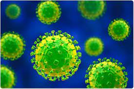 Throughout the history of the world humans have been plagued by diseases of various types and origins. Nipah Virus Infection Signs And Symptoms