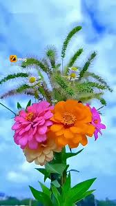 very beautiful flower very beautiful