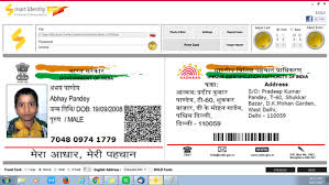 Eaadhar download using aadhar card number or enrollment number. Aadhar Card For Nri
