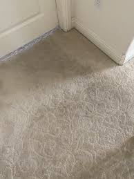 jay s carpet cleaning 1409 dream