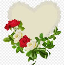 white rose clipart heart love rose