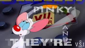 The pinky and the brain reunion special. Pinky And The Brain Intro German Youtube