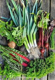 March Garden Jobs For The Vegetable