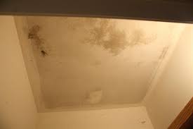 how to remove popcorn ceilings easy