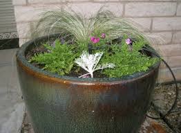 Try No Fuss Way To Water Plants