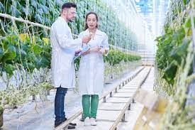 Salary Guide Singapore 2023 Agritech