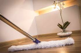 floor mopping plus how to clean