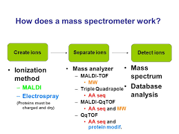 Mass Spectrometry Methods Theory Ppt Download