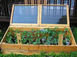 Cold Frames Used For Protection