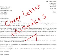 Executive Cover Letter Examples   CEO  CIO  CTO   Resume Genius
