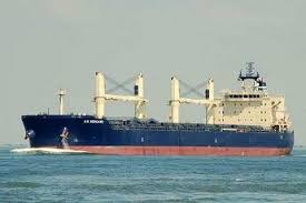 various bulk carrier sizes and