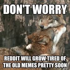 DON&#39;T WORRY REDDIT WILL GROW TIRED OF THE OLD MEMES PRETTY SOON ... via Relatably.com