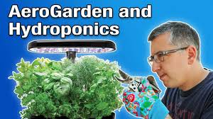 hydroponics grow fresh veg