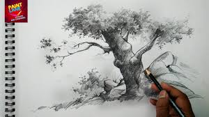 basic sketch and shade a tree with