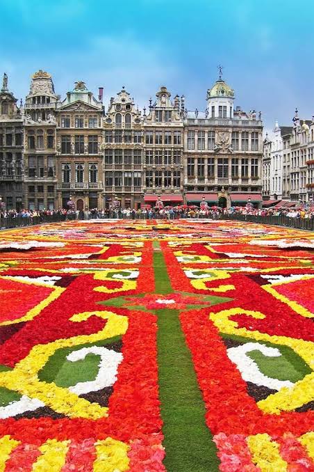 Brussels Flower Carpet: 2026 Dates, Best Time to Visit & Local Tips