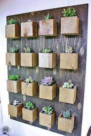 Indoor Cool Cactus Succulent Projects