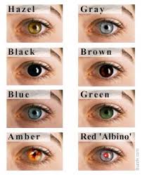 Eye Color Chart Interesting Facts About The Different