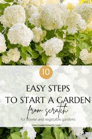 Start A Garden From Scratch In 10 Steps