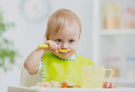 13 Months Old Baby Food Ideas Along With Recipes