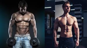 shredded vs lean muscle know the
