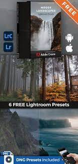 Looking for the best lightroom presets both free and paid? 350 Free Lightroom Presets Ideas In 2021 Lightroom Presets Adobe Lightroom Presets Lightroom