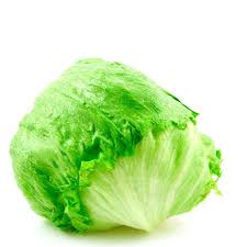 iceberg lettuce paul leegwater