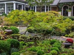 Below are common attributes associated to dwarf japanese maple. Japanese Maples How To Plant Grow And Care For Japanese Maples Hgtv