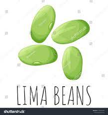 Lima bean cartoon
