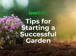 Tips For Starting A Successful Garden
