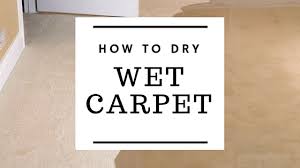 how to dry wet carpet 3d environmental