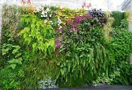 Best Plants For Vertical Garden