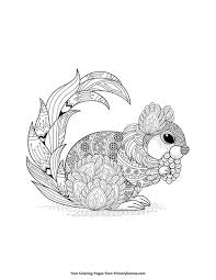 Squirrel and a bird coloring page from squirrels category. Pin On Fall