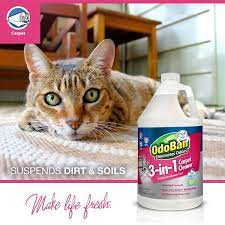 odoban 1 gal 3 in 1 carpet cleaner