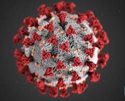 Alles, was Sie jetzt über das Coronavirus wissen müssen | Freie Presse -  Gesundheit