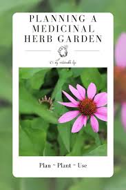 Planning A Medicinal Herb Garden It S