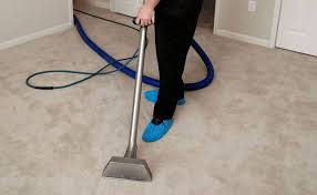 carpet cleaning orlando services get