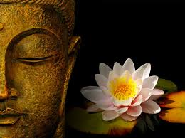 Awesome buddha wallpaper for desktop, table, and mobile. Buddha Wallpapers Photos Pictures H2o Lily Alex Painen Flickr