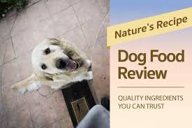nature s recipe dog food review