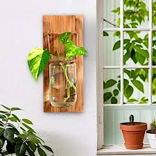 Wall Mounted Glass Jar Planter