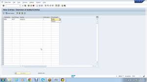 Day 9 Sap Config Of Gl Accounting Chart Of Accounts Retained