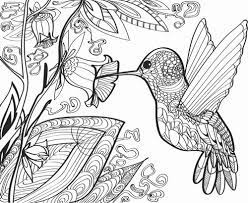 All hummingbird coloring pages can be downloaded or printed for free. Flights Of Fancy Printable Adult Coloring Book Of Birds And More Adult Coloring Book Club